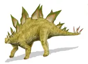 Life restoration of Stegosaurus sulcatus with alternating plate arrangement.