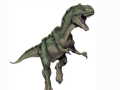 Tyrannosaurus rex/Film, Jurassic Park Wiki