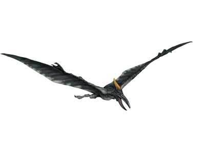 Pteranodonte, Jurassic Park Wiki