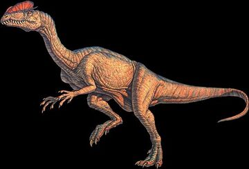 Dilophosaurus, Jurassic Park Wiki