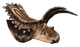 Jc Coahuilaceratops-removebg-preview