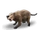 Castoroides