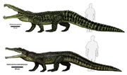 Smilosuchus-reconstructions-Jeff-Martz-600-px-tiny-Oct-2014-Tetrapod-Zoology