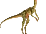 Compsognathus