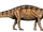 Antetonitrus