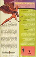 Jurassicparkinst archaeopteryx.jpg (278 KB)