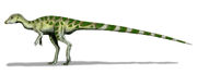 Leaellynasaura BW