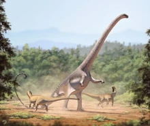 Restoration of Barosaurus rearing to defend itself against a pair of Allosaur

us