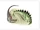 Tuojiangosaurus
