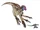 Chirostenotes