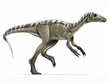 List of sauropodomorph type specimens - Wikipedia