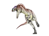 Nanotyrannus