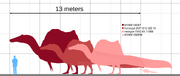 Spinosaurus size comparison.svg