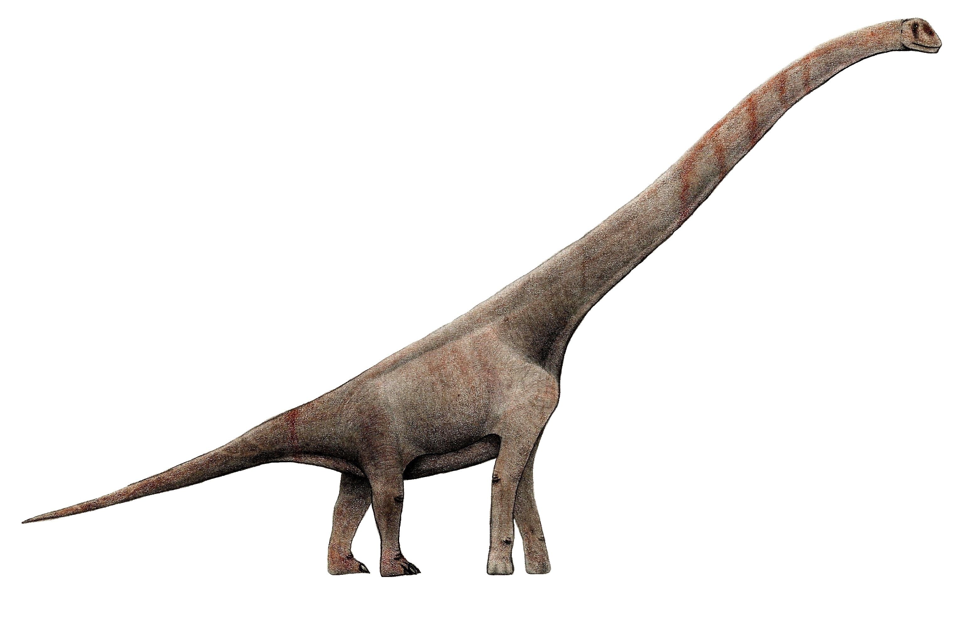 Deinocheirus - DinoPit