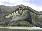 Three-dimensional reconstruction of a head