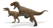 Restoration of Megalosaurus, with a mostly hypothetical head