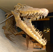Closeup of a reconstructed M