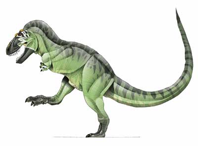 Euhelopus Pictures & Facts - The Dinosaur Database