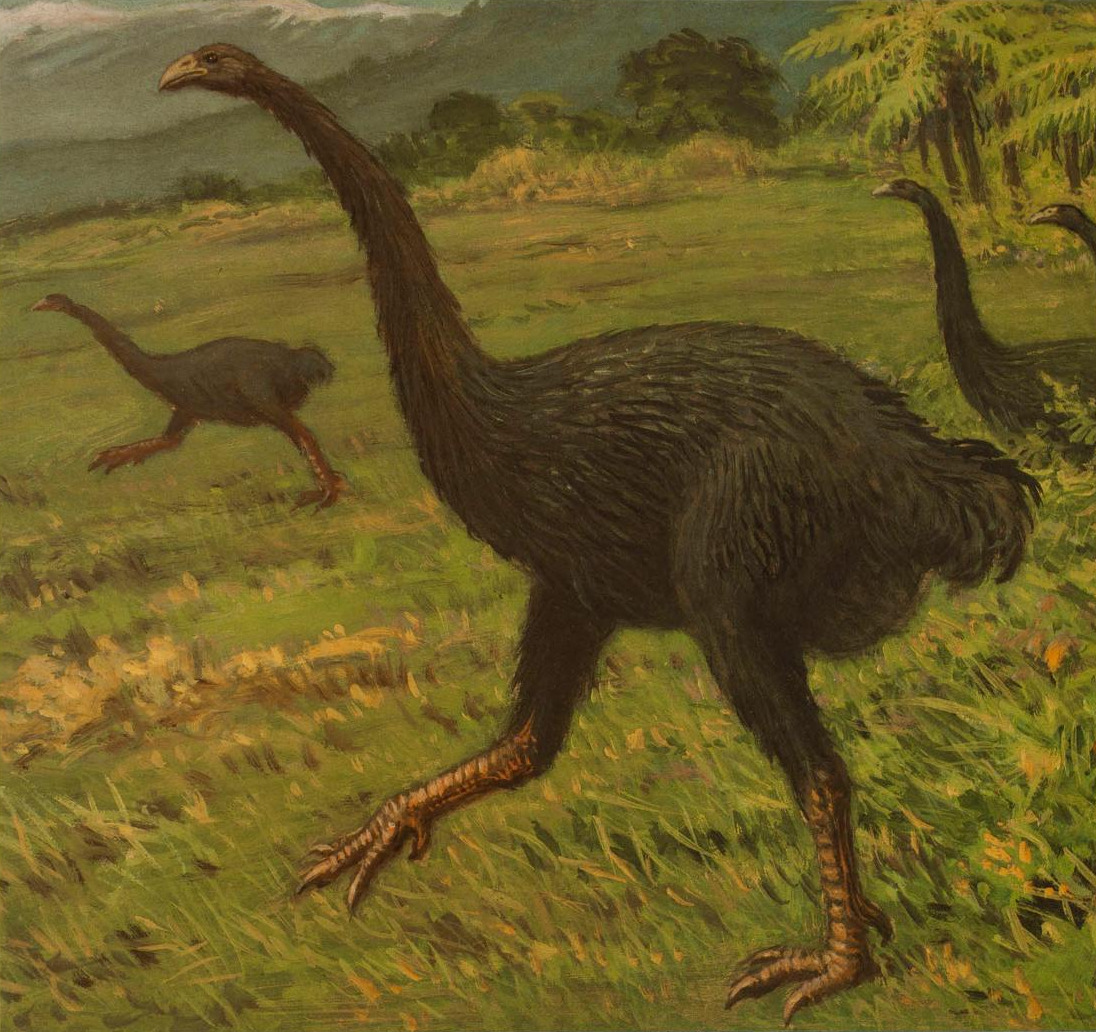 Dinosaurs Roar Shaped BB with Lift The Flax Dinosaurs Roar Shaped BB with Lift The Flax