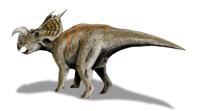 Einiosaurus | Jurassic Park Institute Wiki | Fandom
