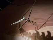 Mounted skeleton at the 