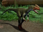  showing hypothetical complete crest-shape, similar to that of the related 