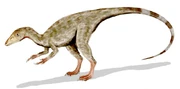 Evidence from related species suggests that the body might have been covered with feather-like structures.
