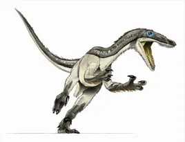 Timothy Bradley Artwork