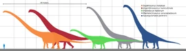 Size comparison of silhouettes of a human and six genera of giant sauropod dinosaurs, including Argentinosaurus