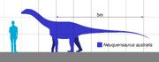 Size comparison