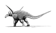 Restoration