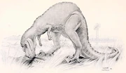 Early life reconstruction by Joseph M