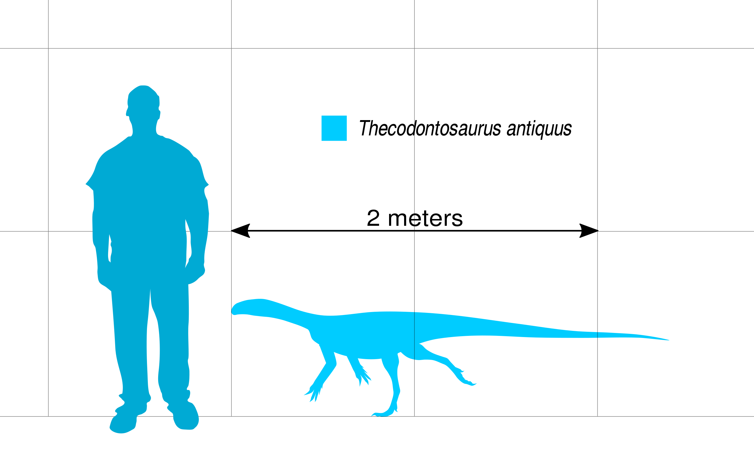 List of sauropodomorph type specimens - Wikipedia