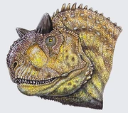 Drawing of a Carnotaurus head