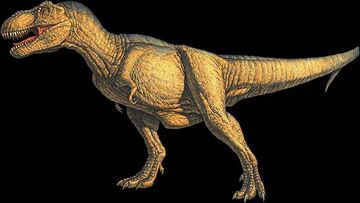 What are some cool facts about the t-Rex : r/Dinosaurs