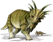Restoration