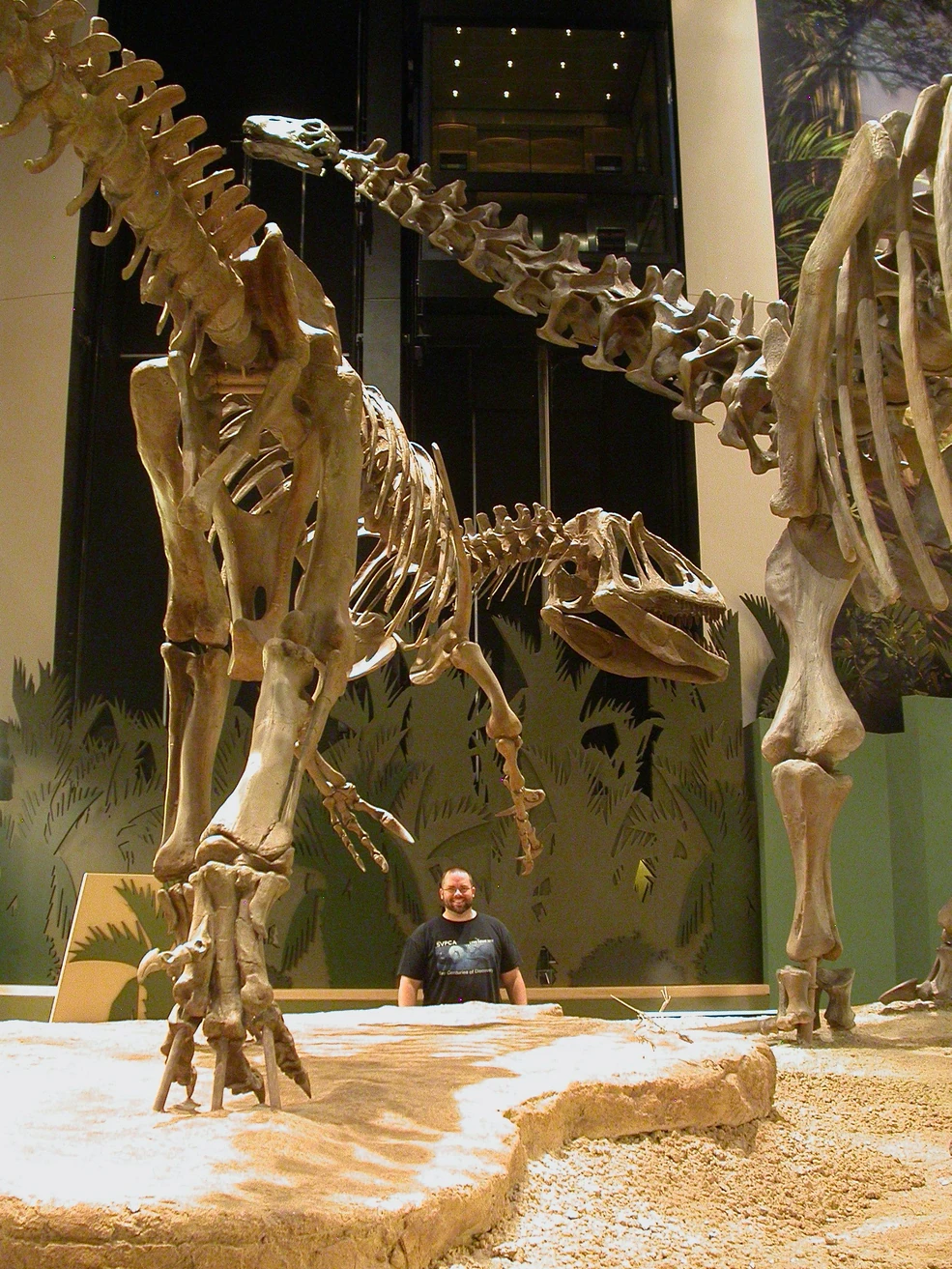 Apatosaurus | Jurassic Park Institute Wiki | Fandom