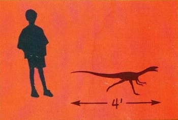 JPI compsognathus length