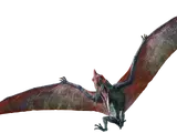 Pteranodon