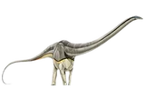 Supersaurus