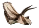 Jc titanoceratops-removebg-preview