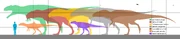 Size comparison of seven carcharodontosaurids (Acrocanthosaurus in light brown)
