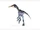 Araucanoraptor