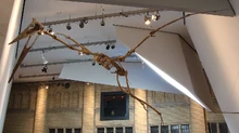 A Quetzalcoatlus mount housed at the Royal Ontario Museum.