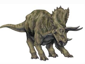 Triceratops - Wikipedia