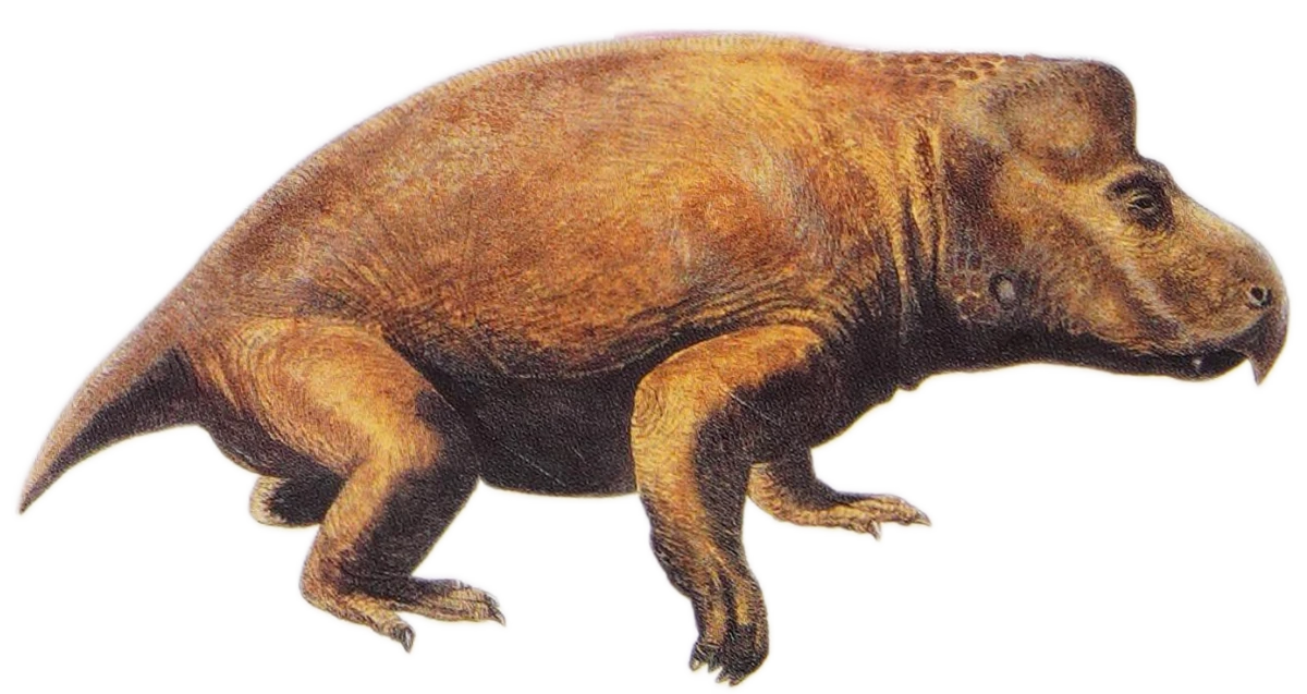 Kannemeyeria Jurassic Park Institute Wiki Fandom