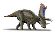 Restoration of P