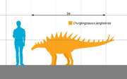 Size comparison