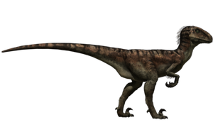 Utahraptor