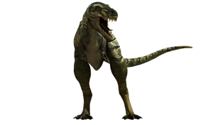 Nanotyrannus